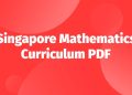 Singapore mathematics curriculum Pdf